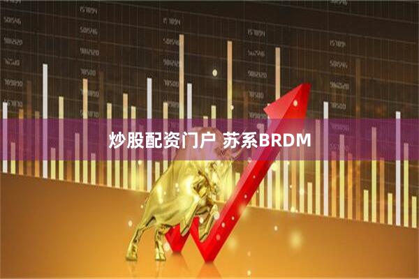 炒股配资门户 苏系BRDM