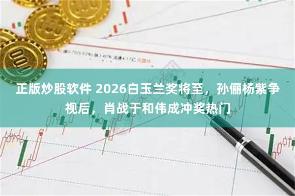 正版炒股软件 2026白玉兰奖将至，孙俪杨紫争视后，肖战于和伟成冲奖热门